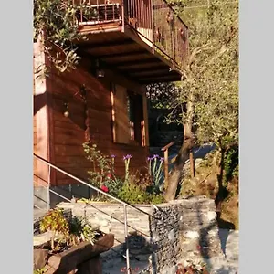  Casa vacanze La Casetta Di Molly Tra Ulivi E Roseto Italia